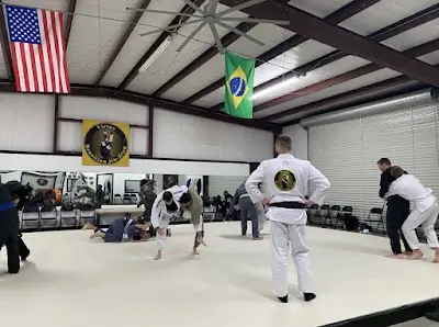 Virtue Brazilian Jiu Jitsu BJJ Academy - photo 1