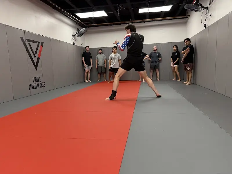 Virtue Martial Arts BJJ Academy - photo 1