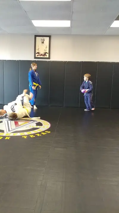 Virtues Jiu-Jitsu BJJ Academy - photo 3