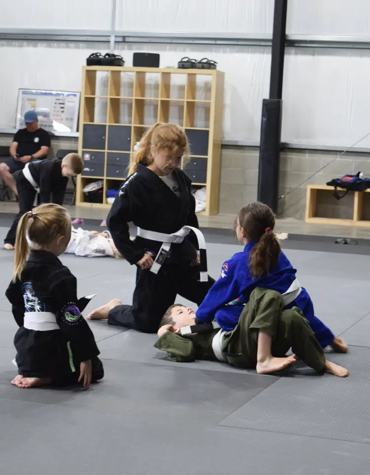 Virtuous Grappling BJJ Academy - photo 1