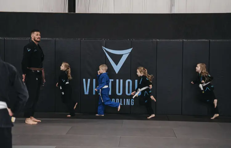 Virtuous Grappling BJJ Academy - photo 2