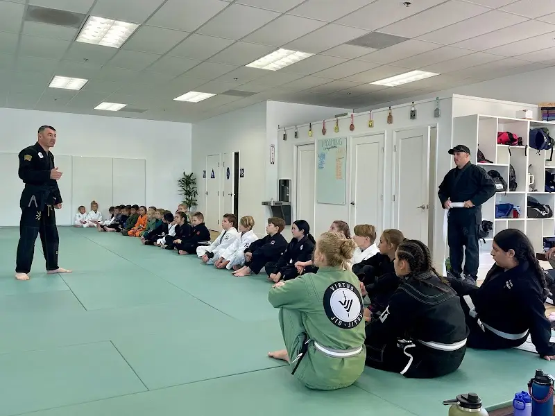 Virtus Brazilian Jiu Jitsu BJJ Academy - photo 2