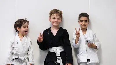 Virtus Jiu-Jitsu BJJ Academy - photo 2