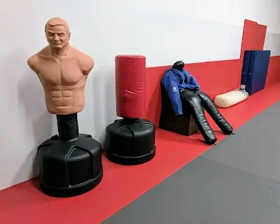 Vision Brazilian Jiu-Jitsu Wixom BJJ Academy - photo 3