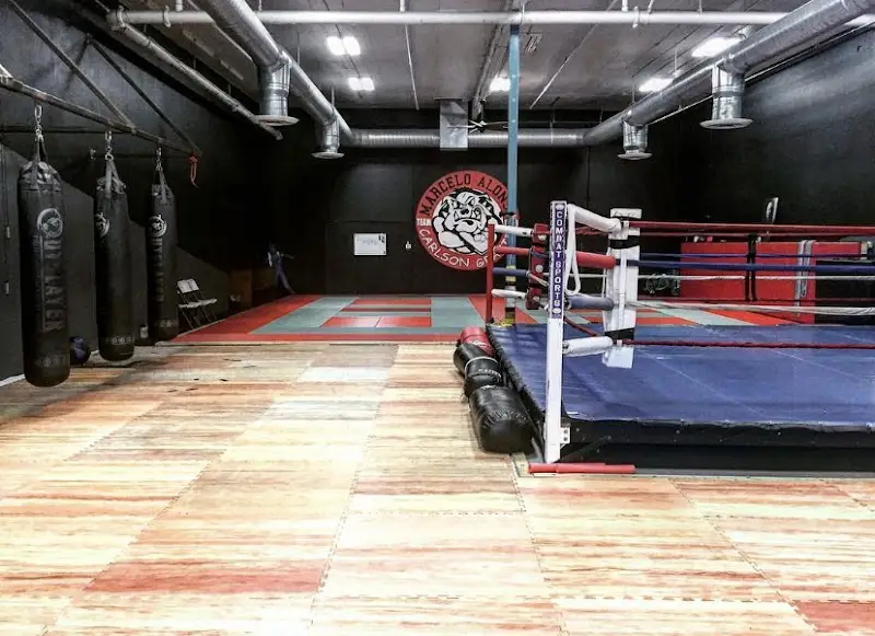 Vital Jiu Jitsu - Srisuk Muay Thai BJJ Academy - photo 1