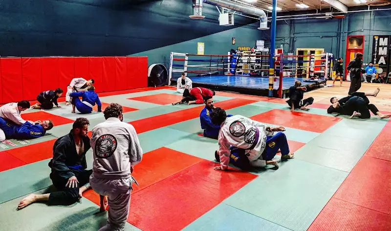Vital Jiu Jitsu - Srisuk Muay Thai BJJ Academy - photo 2