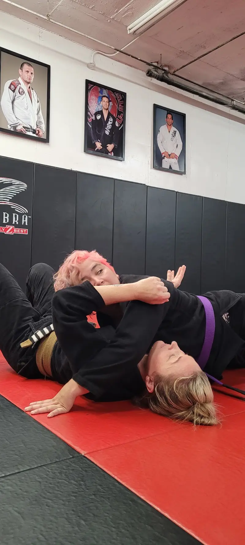 Vitruvian Martial Arts BJJ Academy - photo 1