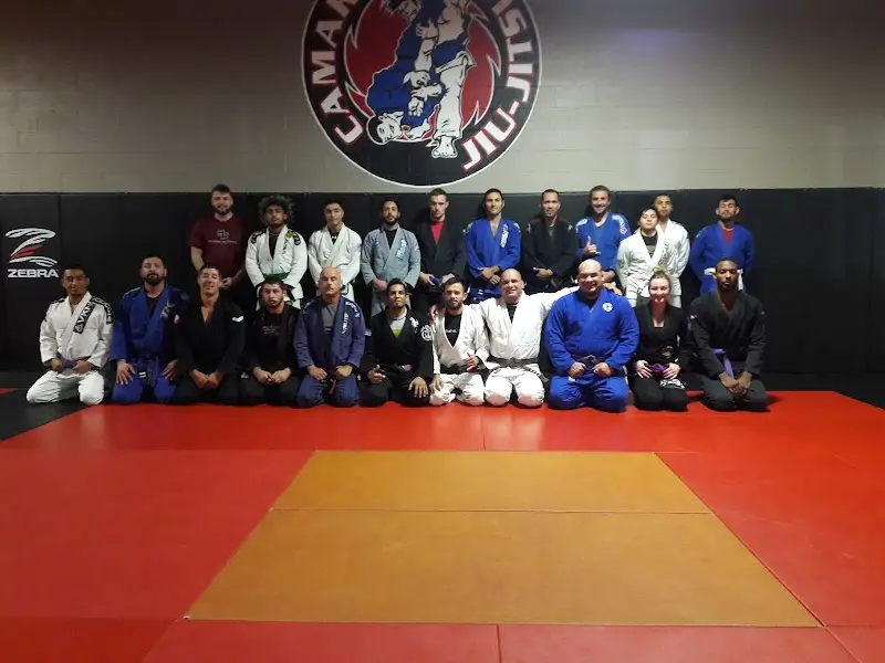 Vitruvian Martial Arts BJJ Academy - photo 2