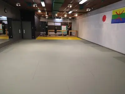 Volt BJJ - Jiu-Jitsu Brésilien