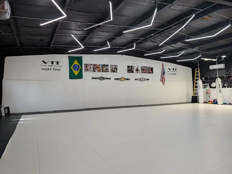 VTT Brazilian jiujitsu, Muay Thai, MMA