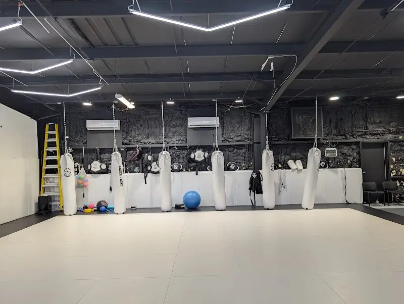 VTT Brazilian jiujitsu, Muay Thai, MMA BJJ Academy - photo 1