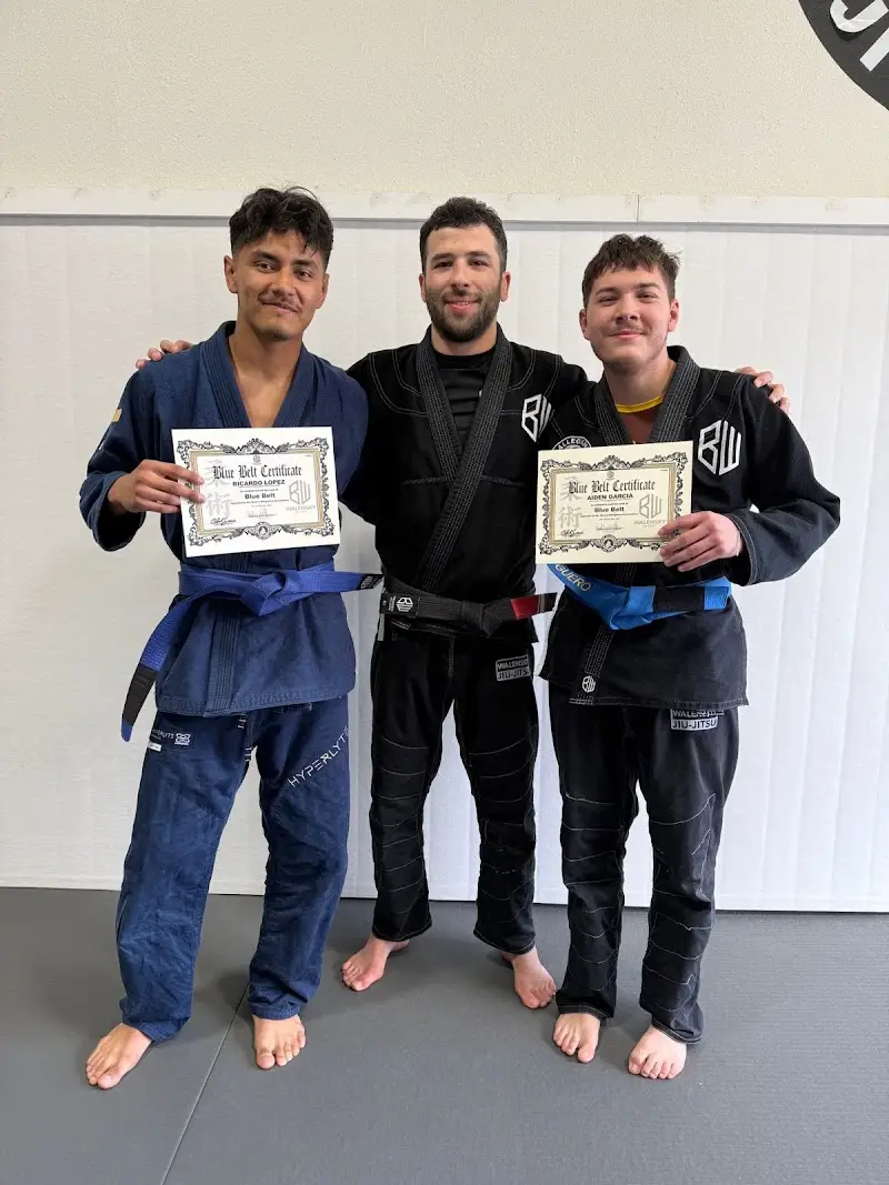 Walensky Jiu-Jitsu BJJ Academy - photo 1
