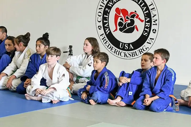 Wall 2 Wall Martial Arts BJJ Academy - photo 1