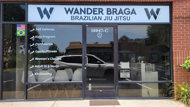 Wander Braga Brazilian Jiu Jitsu BJJ Academy - photo 1