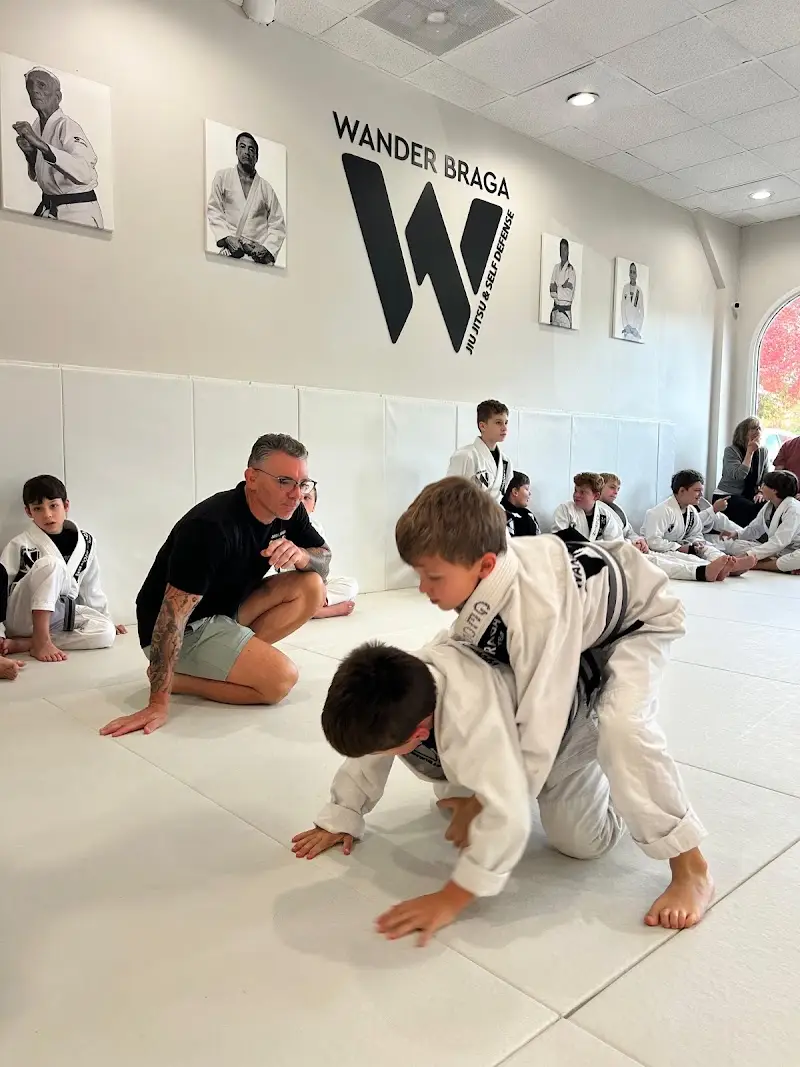 Wander Braga Brazilian Jiu Jitsu BJJ Academy - photo 2