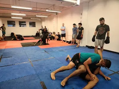 Warrior Evolution MMA BJJ Academy - photo 2