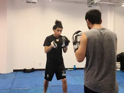 Warrior Evolution MMA BJJ Academy - photo 3