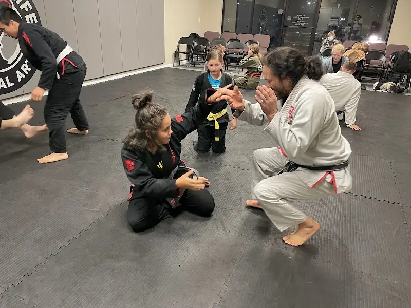 Warrior Life Martial Arts BJJ Academy - photo 1