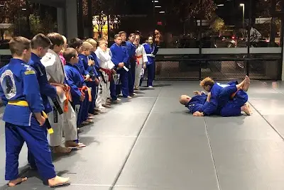 Warrior Martial Arts Academy McKinney BJJ Academy - photo 1