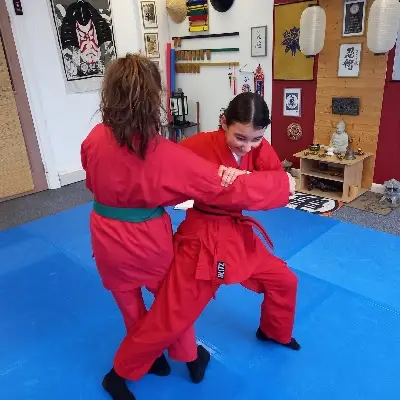 Warrior Quest Martial arts BJJ Academy - photo 1