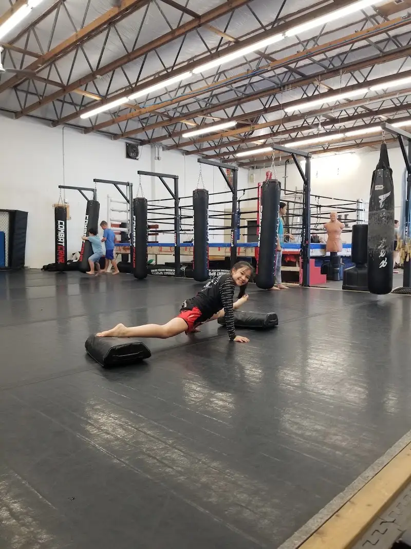 Warrior Strength Martial Arts BJJ Academy - photo 1