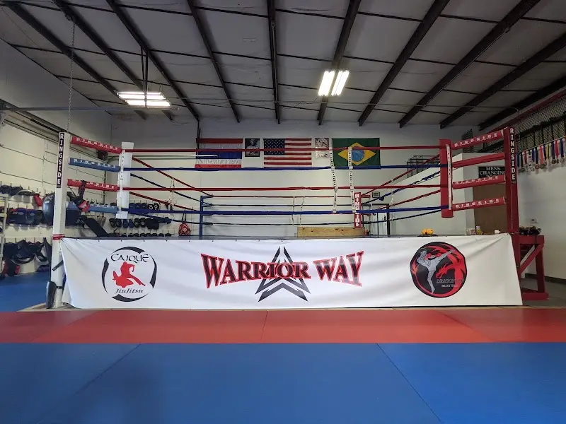 Warrior Way Martial Arts Allnc BJJ Academy - photo 1
