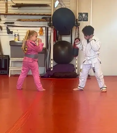 Warriors Guild Martial Arts BJJ Academy - photo 3