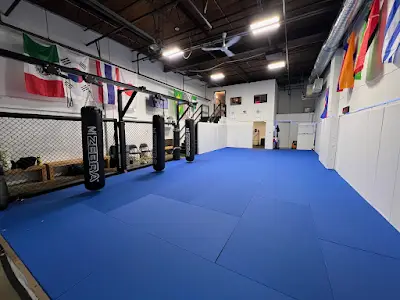 Watch City MMA BJJ Academy - photo 1