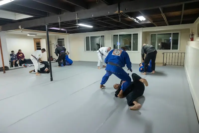 Wauriman Borges Brazilian Jiu Jitsu / BJJ BJJ Academy - photo 1