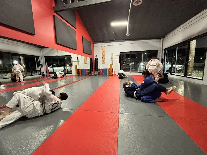 Waves Jiu Jitsu BJJ Academy - photo 2