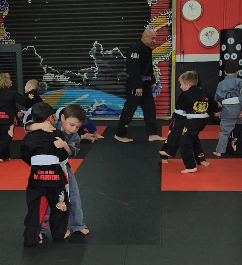 Way of the Warrior Martial Arts BJJ Academy - photo 1