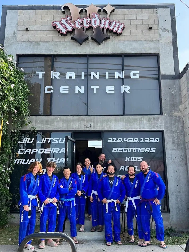 Werdum Training Center BJJ Academy - photo 2