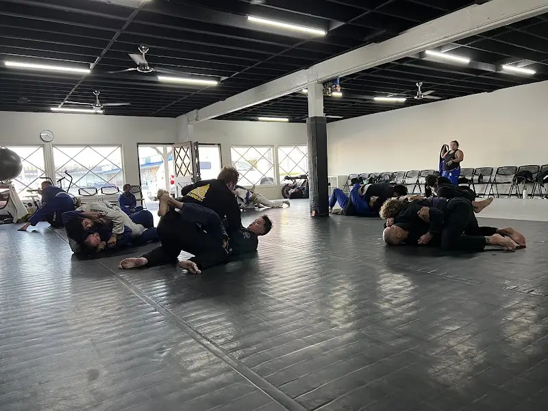 Westminster Jiu Jitsu