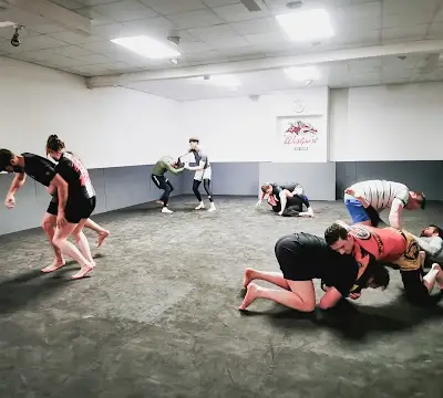 Westport BJJ BJJ Academy - photo 1
