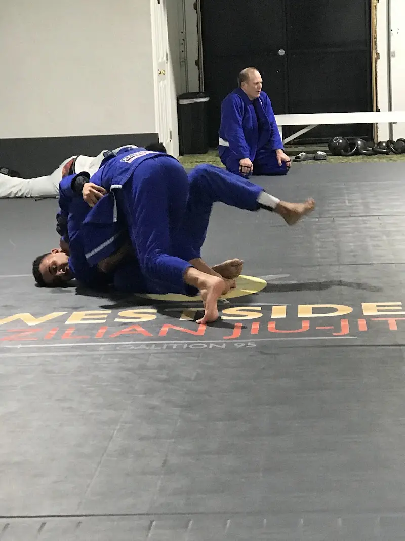 Westside BJJ BJJ Academy - photo 2