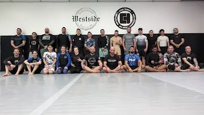 Westside Jiu Jitsu Academy BJJ Academy - photo 3