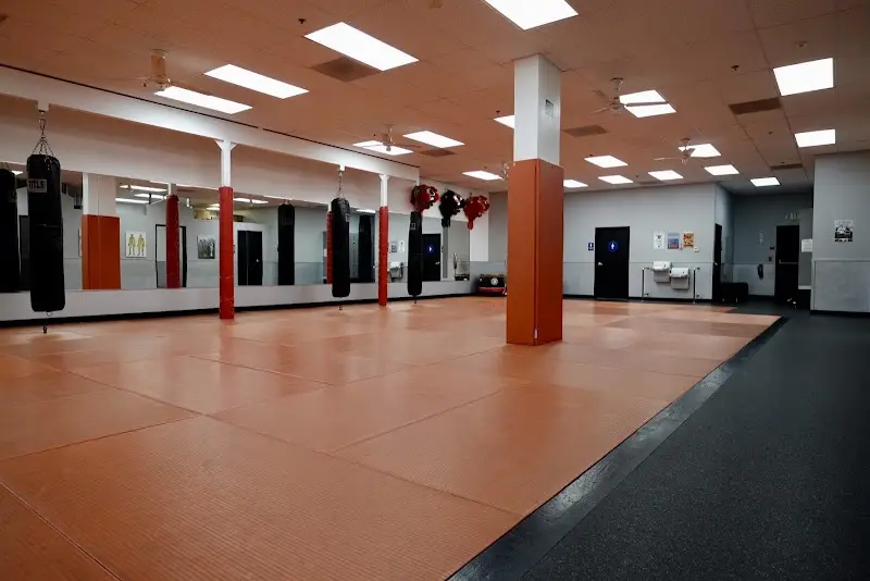 White Dragon Martial Arts - San Marcos BJJ Academy - photo 1
