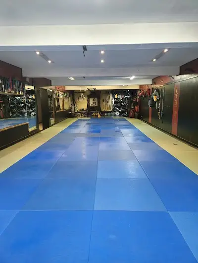 Wild Geese BJJ