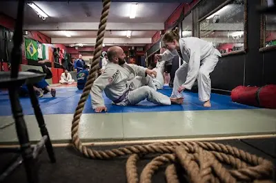 Wild Geese Martial Arts & Personal Training