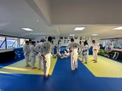 Will BJJ Team BJJ Academy - photo 1