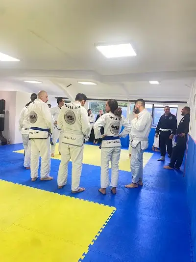 Will BJJ Team BJJ Academy - photo 4