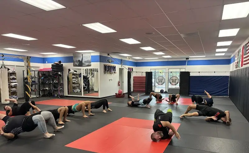 Willows Jiu Jitsu & MMA BJJ Academy - photo 2