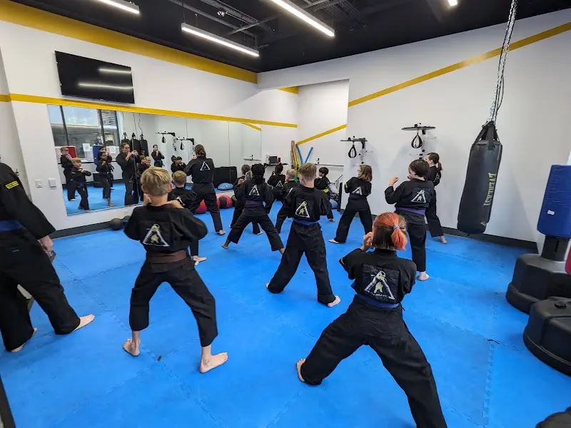 Wisconsin Martial Arts and Fitness Center Madison North BJJ Academy - photo 2