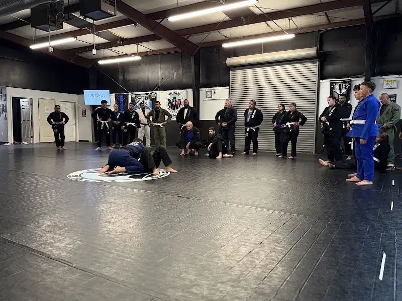 Wise Jiu Jitsu BJJ Academy - photo 2