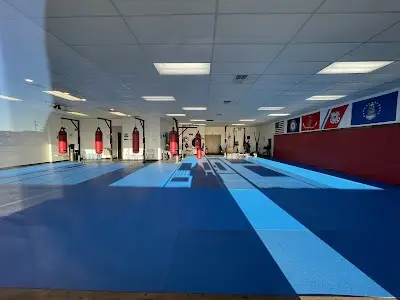Witness Martial Arts BJJ Academy - photo 1