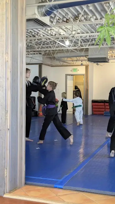 Wolchek Academy of Martial Arts BJJ Academy - photo 1