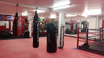 WOLF Athletic Academy