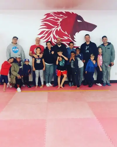 WOLF Athletic Academy BJJ Academy - photo 1