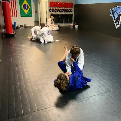 Wolf Brazilian Jiu Jitsu BJJ Academy - photo 1