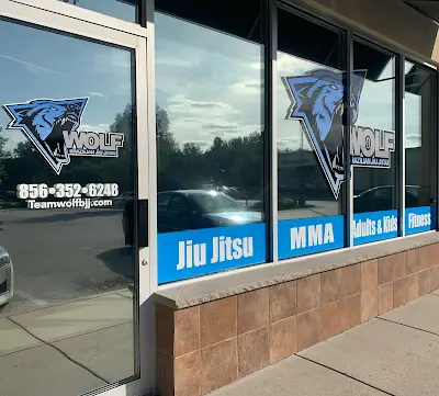 Wolf Brazilian Jiu Jitsu BJJ Academy - photo 2